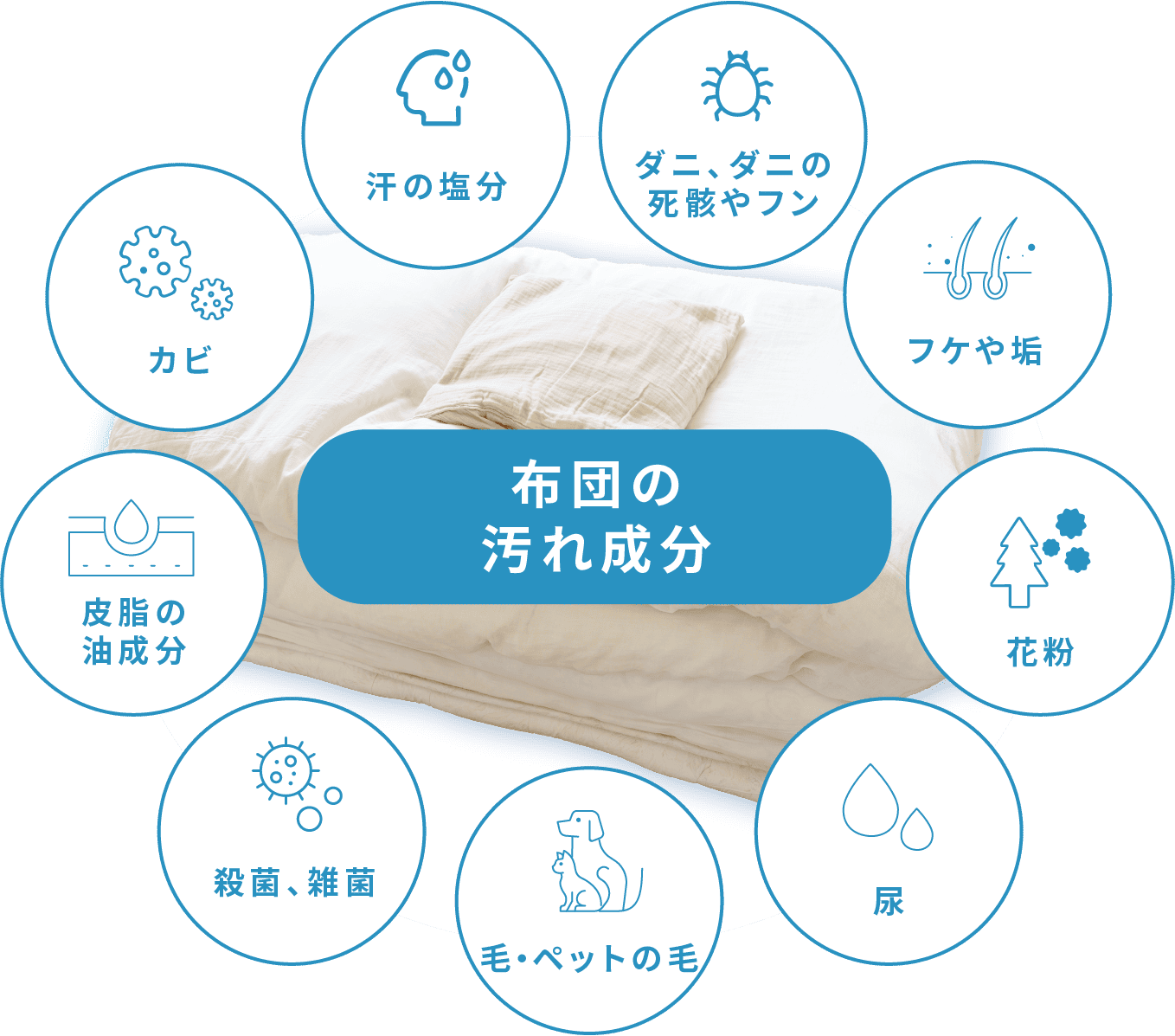 布団の汚れ成分